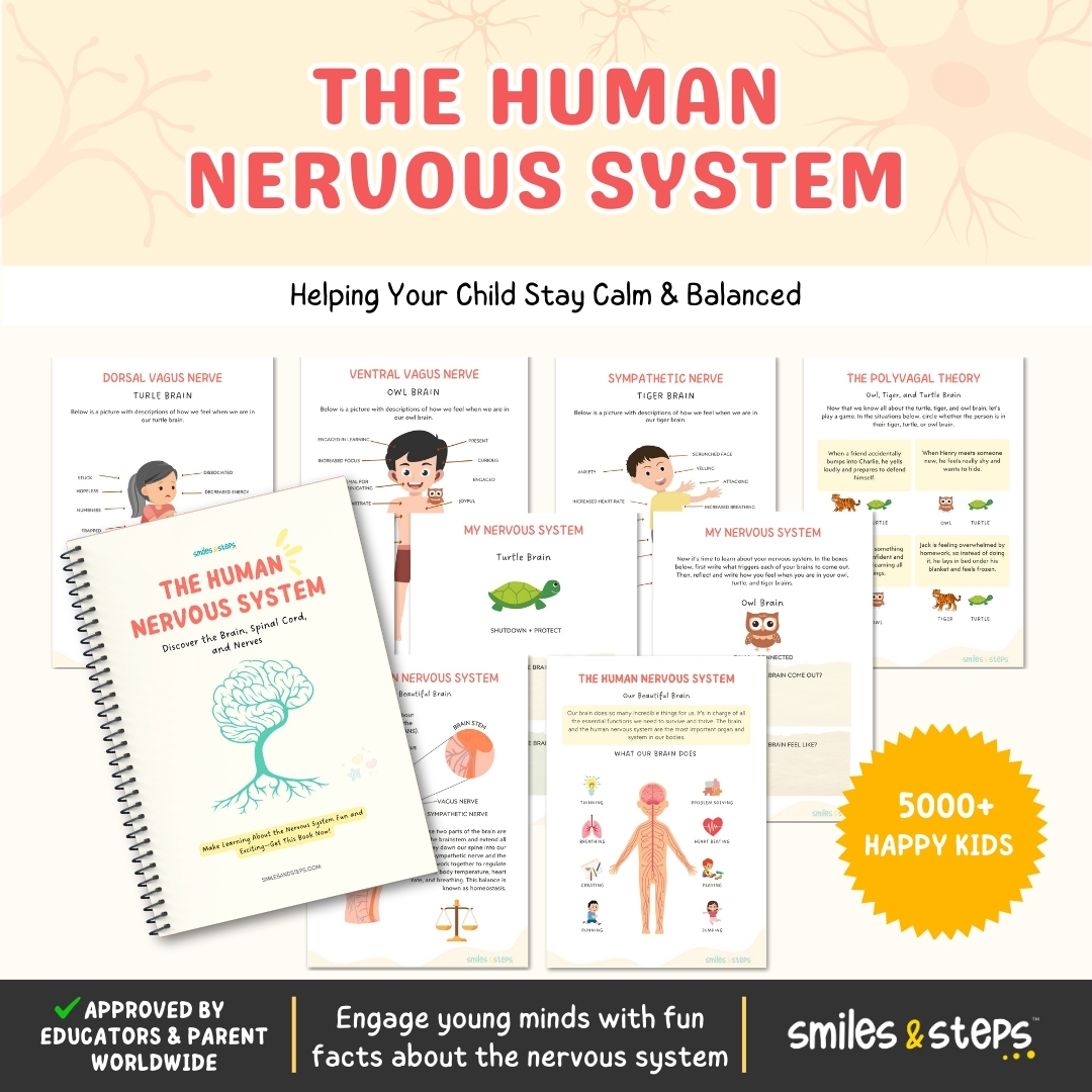 The Human Nervous System Regulation Workbook