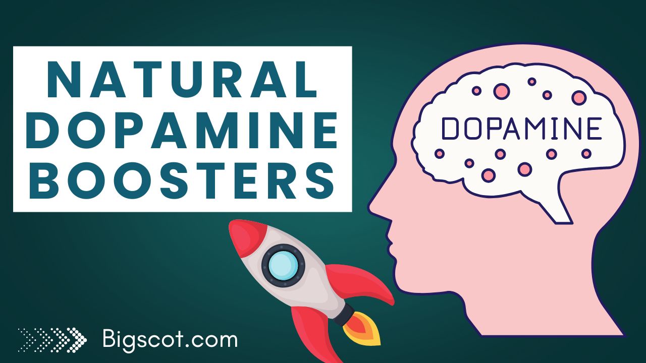 Natural dopamine boosters