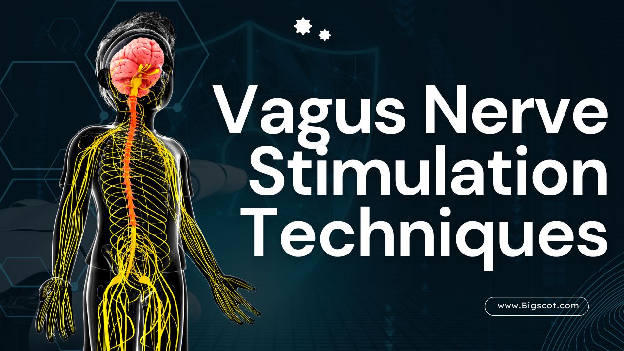 Vagus Nerve Stimulation Techniques